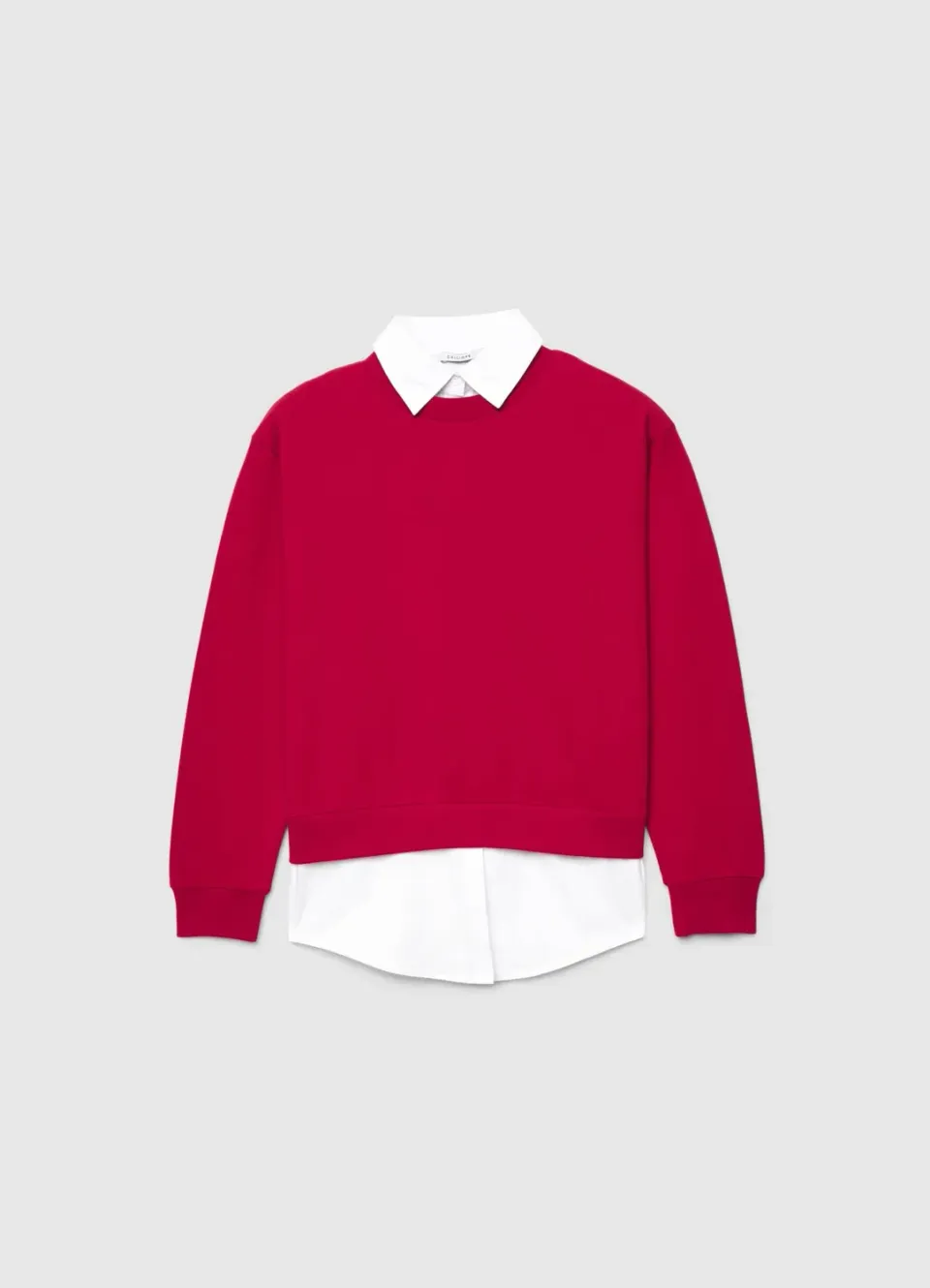 Calliope Sweat femme col chemise uni