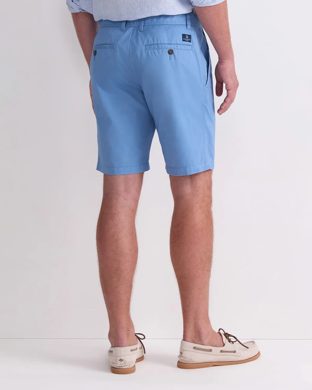 Sportscraft Classic short homme coton chino genou
