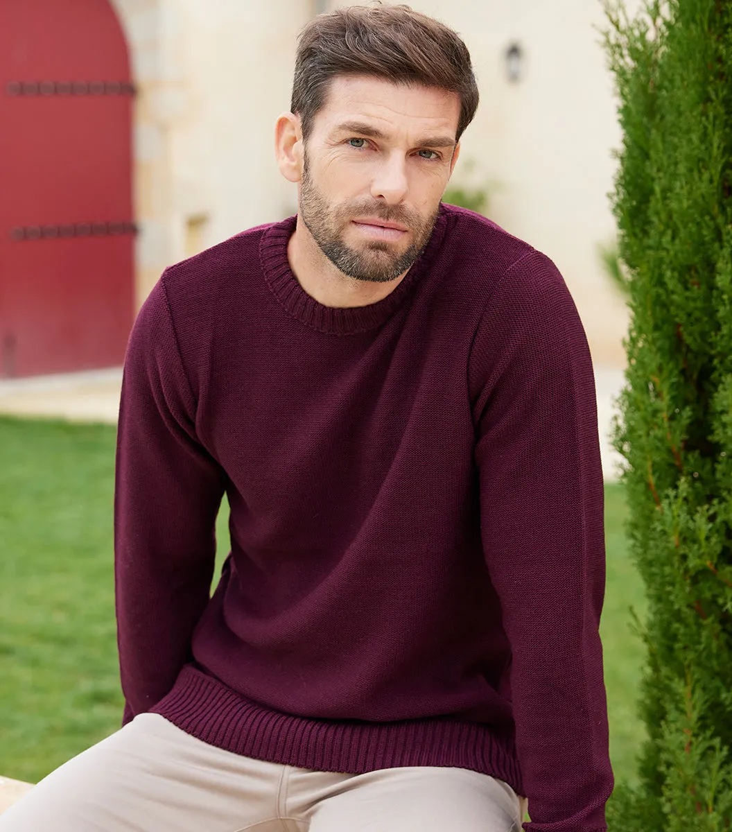Cocorico pull homme laine bordeaux 50% laine