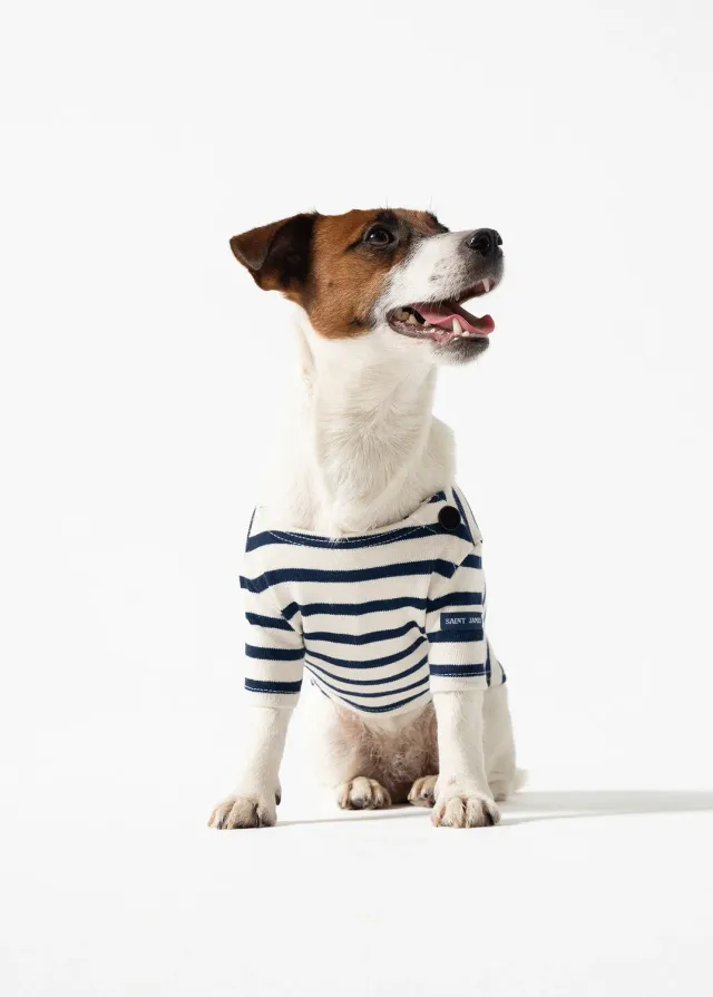 Saint James Toutounière marinière chien écru marine coton