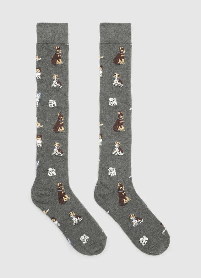 Calliope Chaussettes longues chiens homme