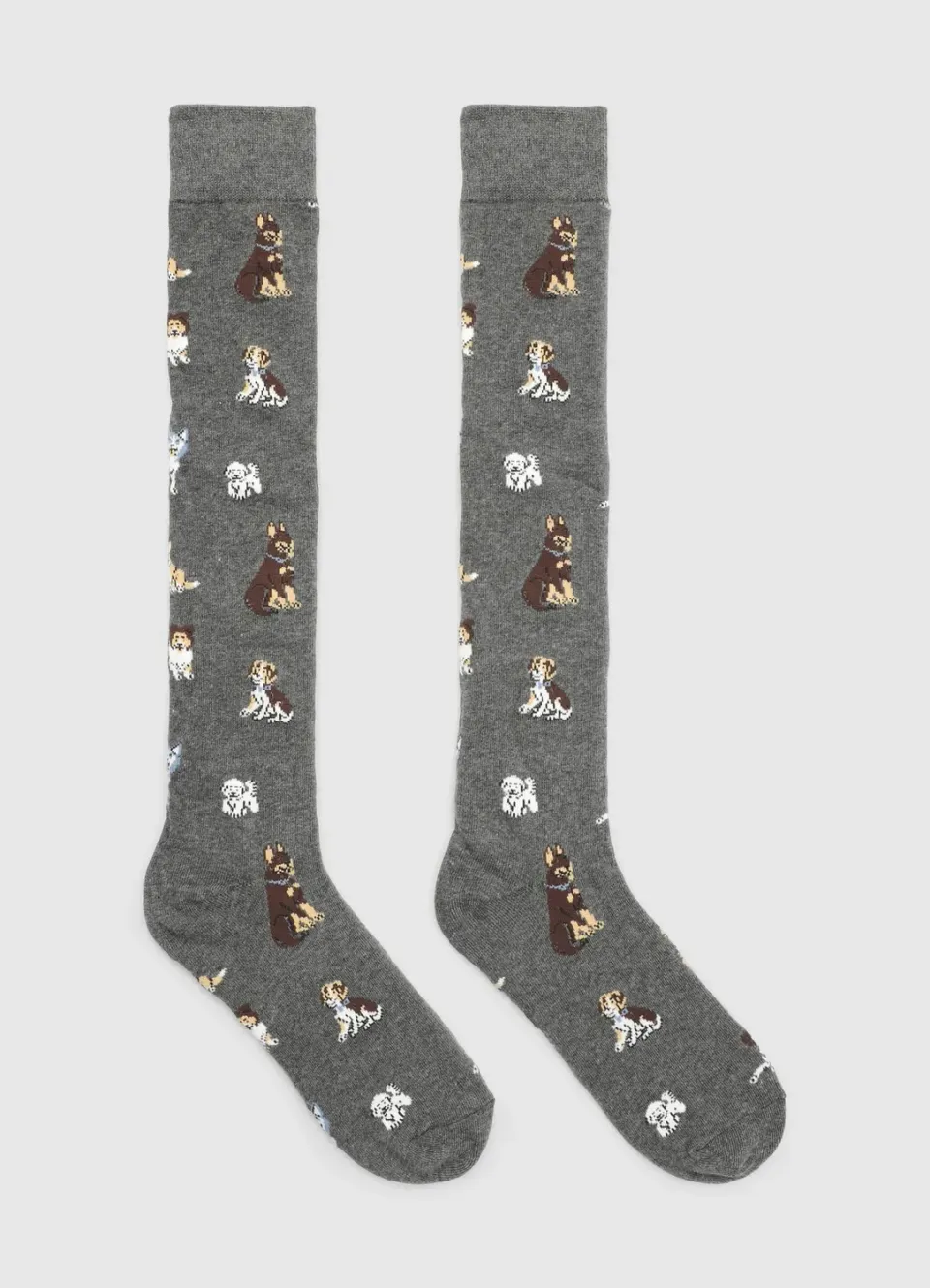 Calliope Chaussettes longues chiens homme