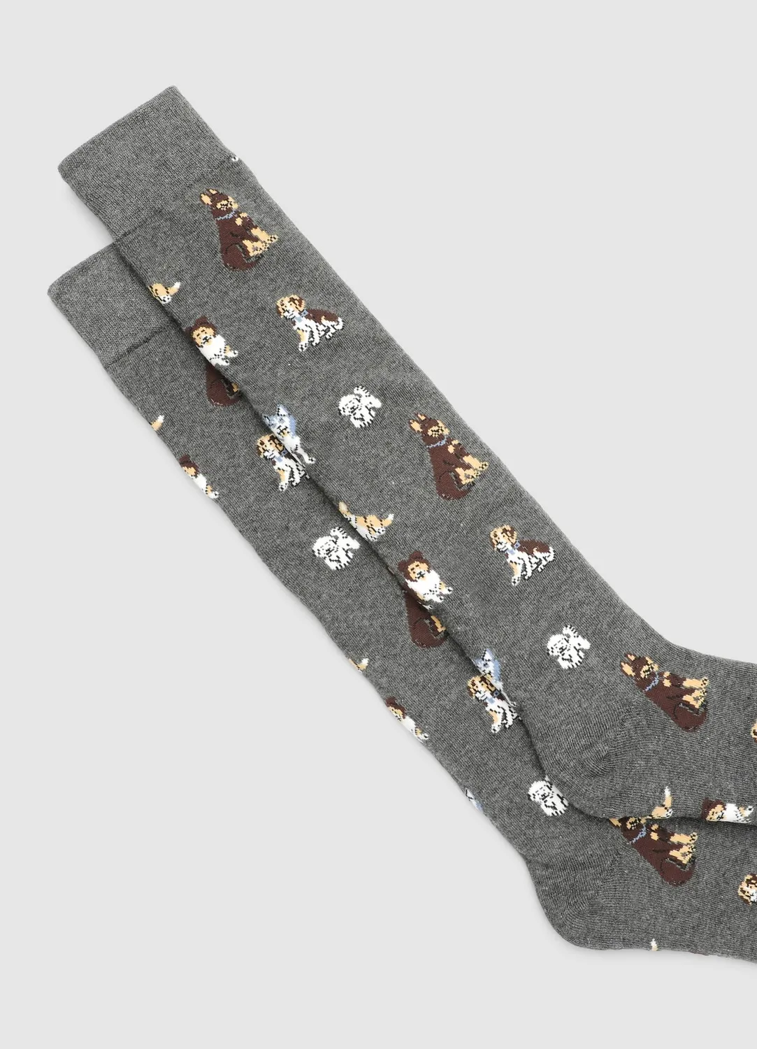 Calliope Chaussettes longues chiens homme