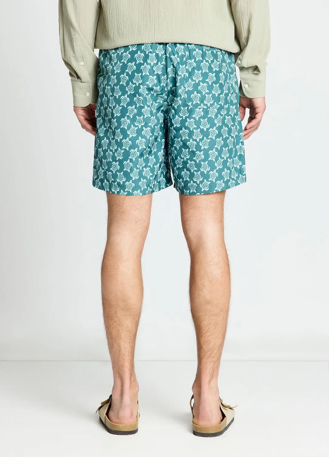 Calliope bermuda mer tortues homme