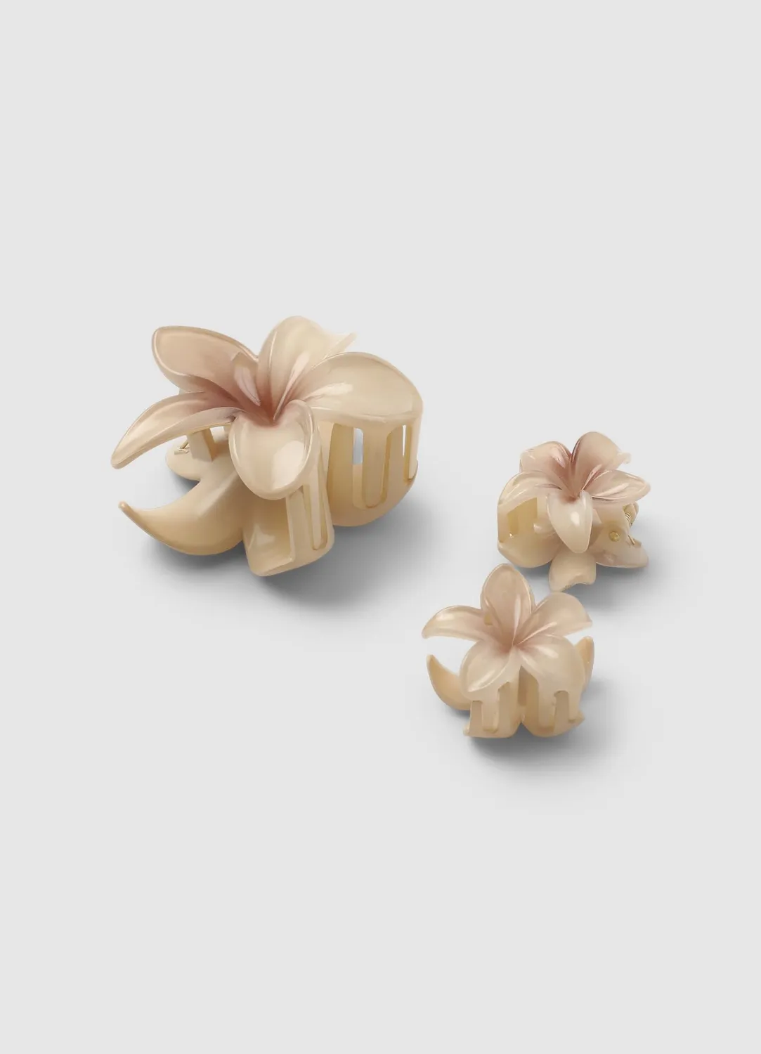 Calliope pack 3 barrettes fleur tropicale femme
