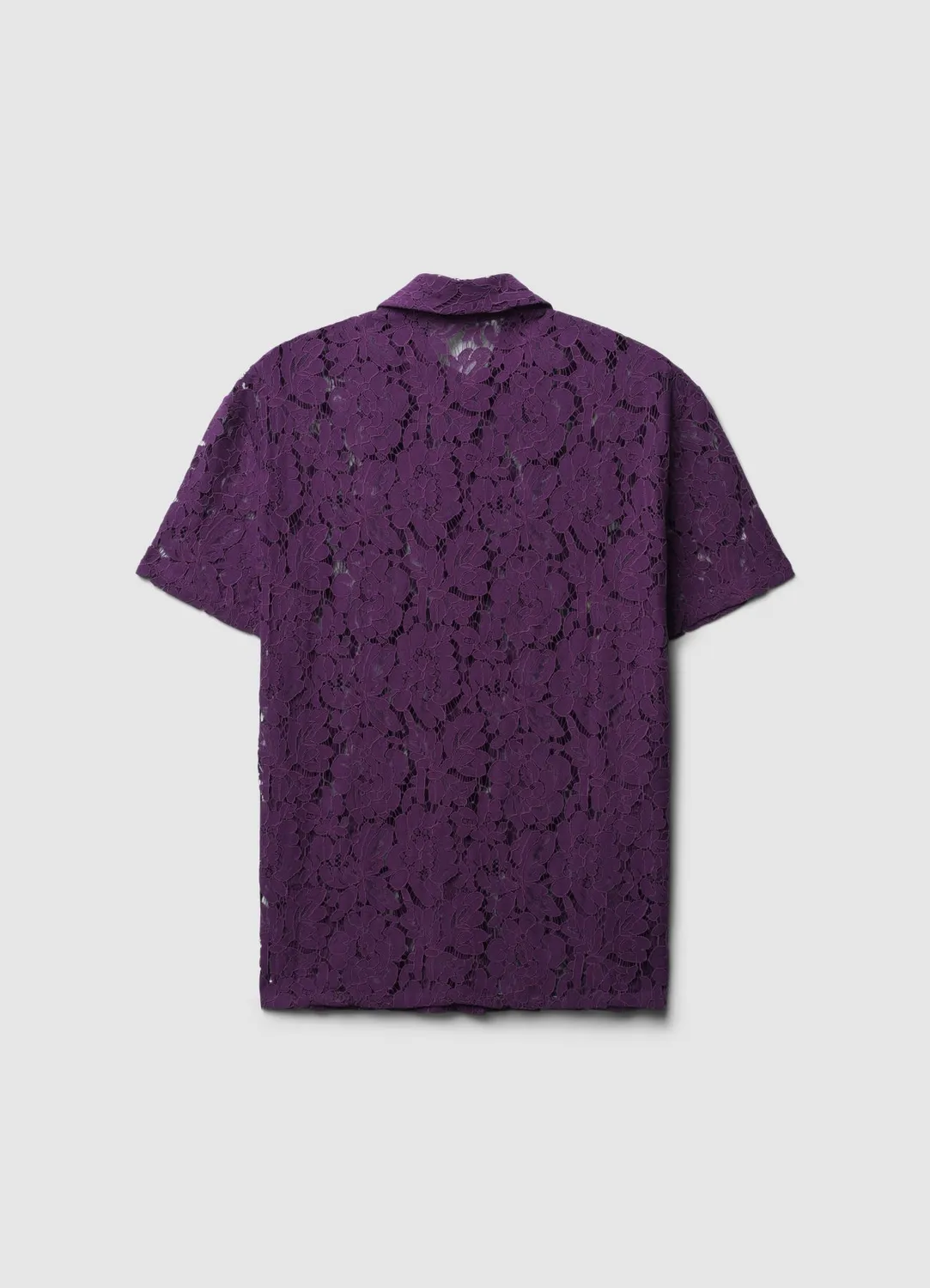 Calliope Chemise dentelle coton manches courtes