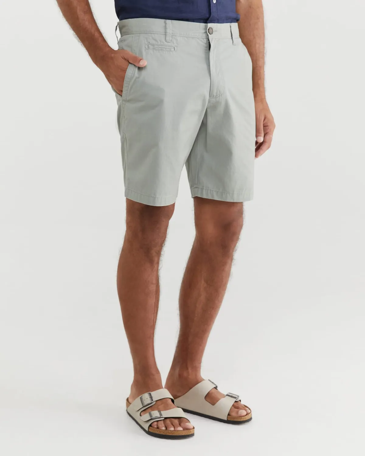 Sportscraft Classic Chino Short bermuda coton homme