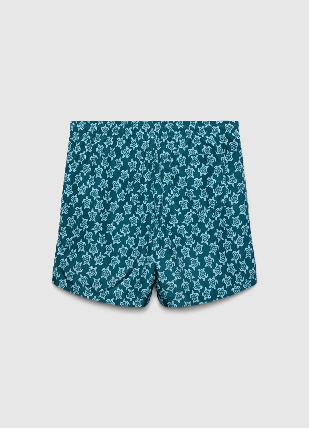 Calliope bermuda mer tortues homme