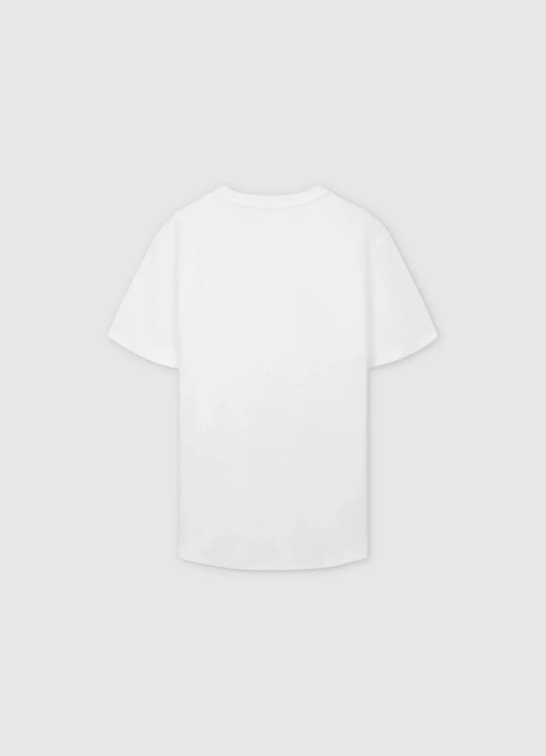 Calliope t-shirt devoré homme col rond