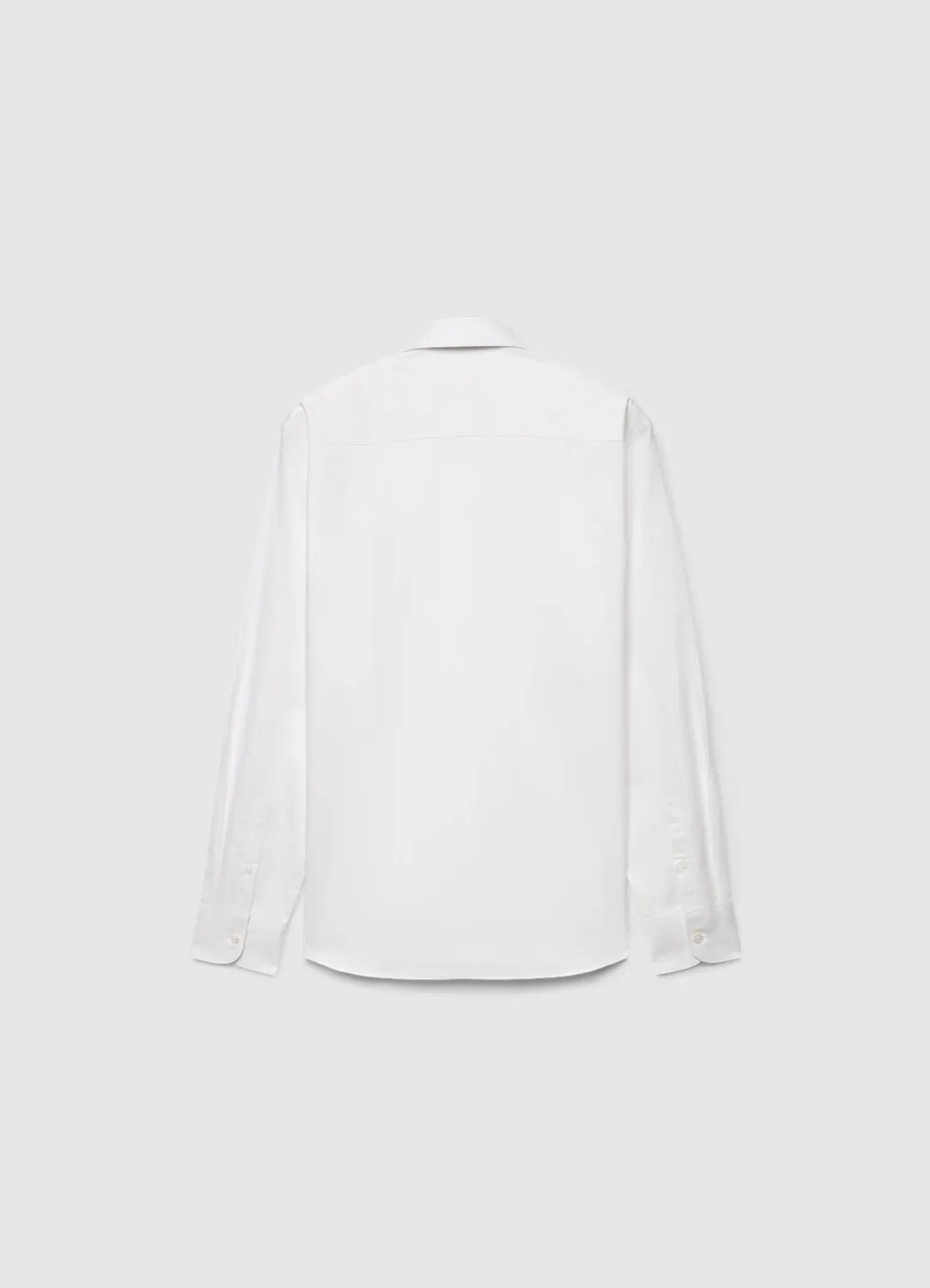 Calliope chemise homme coton coupe regular