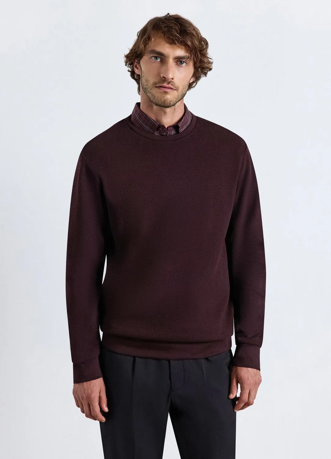 Calliope sweat col rond uni homme coton