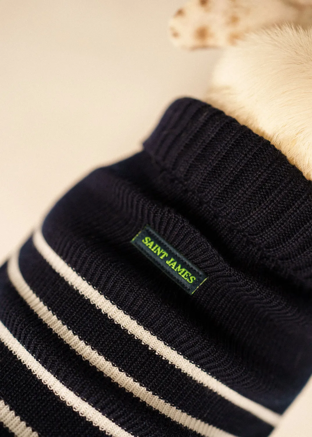Saint James Toutoupull pull chien navy phosphorescent
