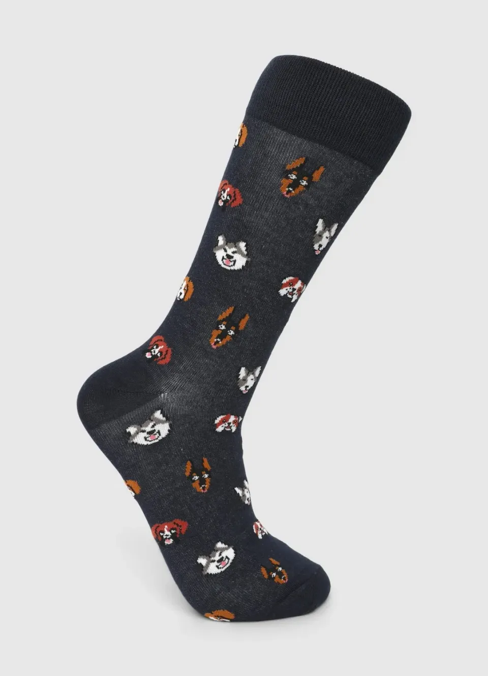 Calliope chaussettes homme chiens mi-mollet coton