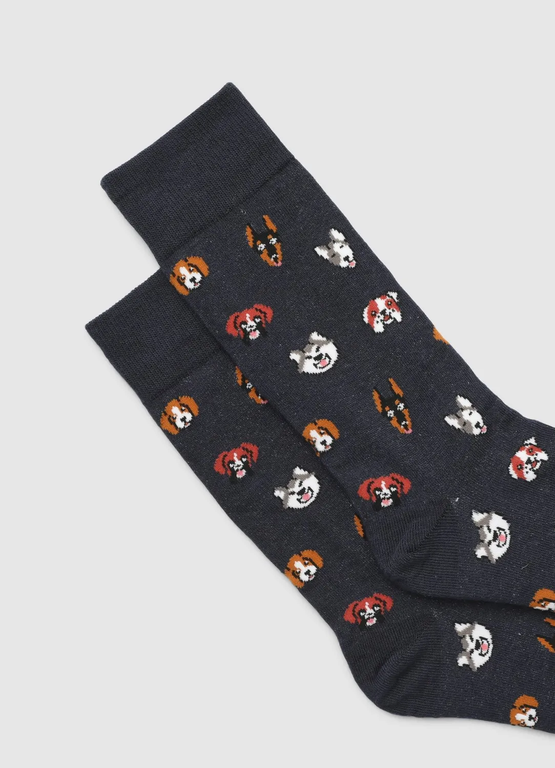 Calliope chaussettes homme chiens mi-mollet coton