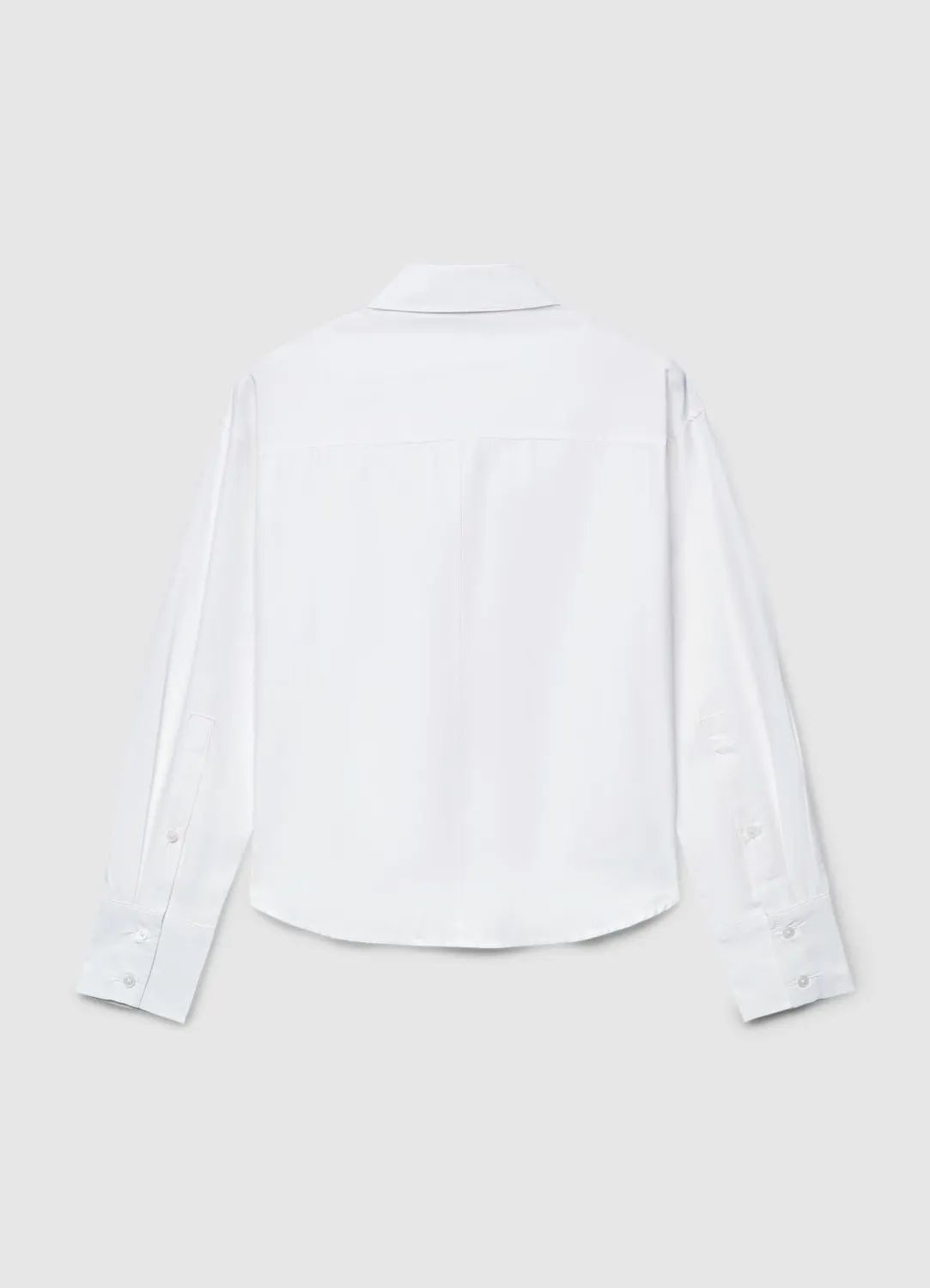 Calliope chemise femme coton manches longues unie