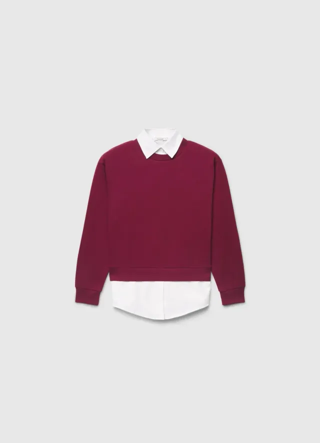 Calliope sweat col chemise femme lourd