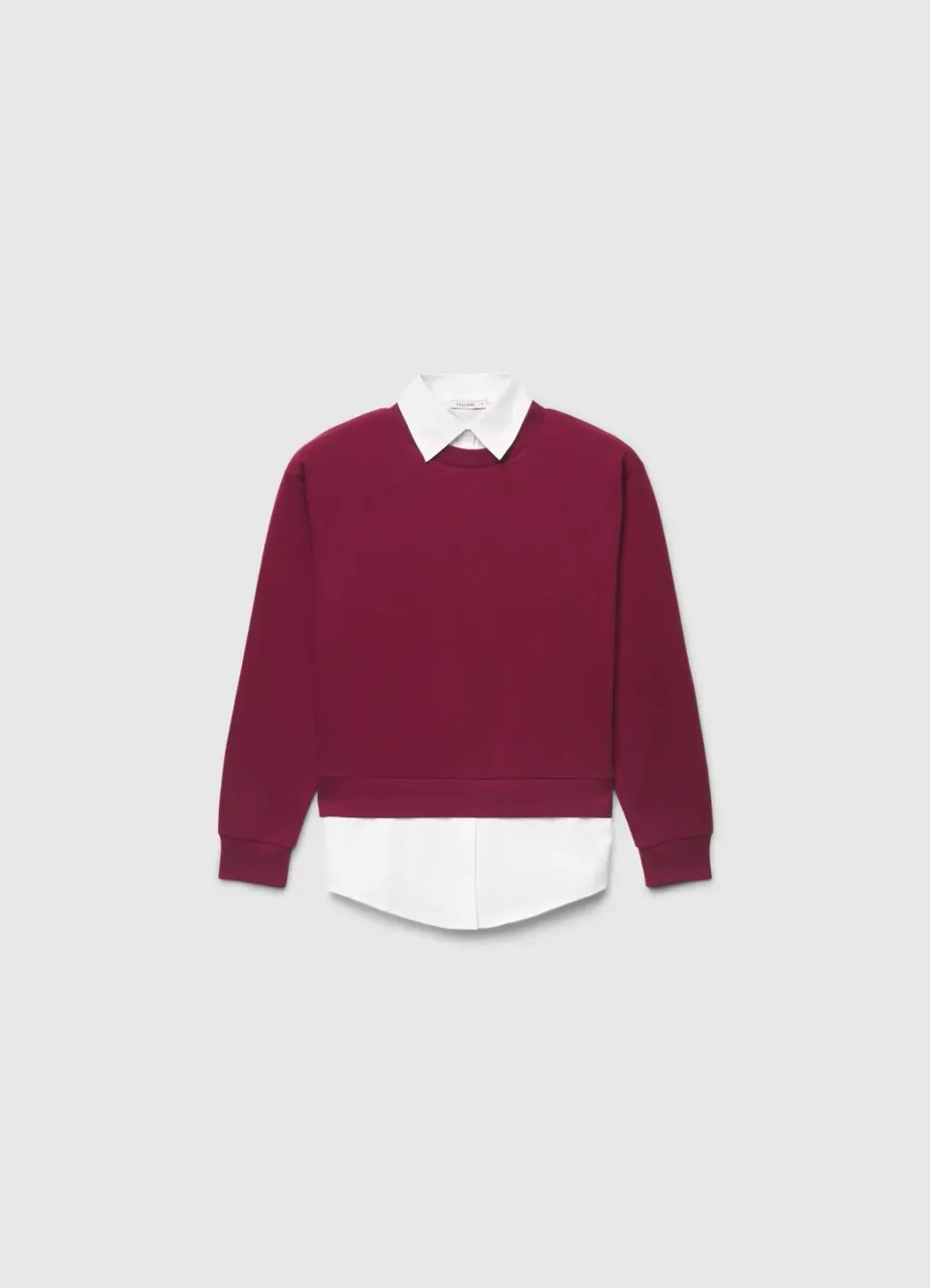 Calliope sweat col chemise femme lourd