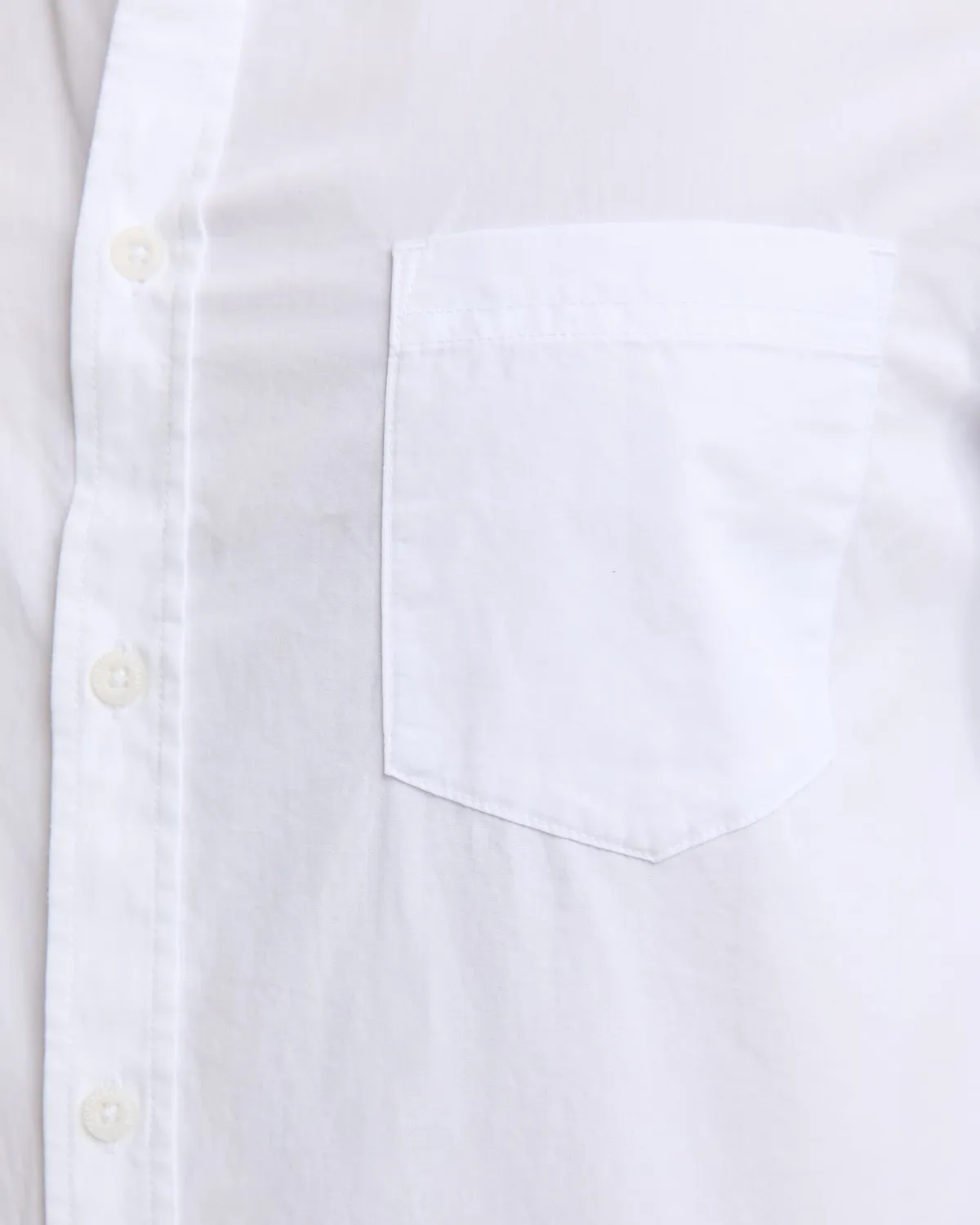 Sportscraft Oxford 207937 chemise homme coton