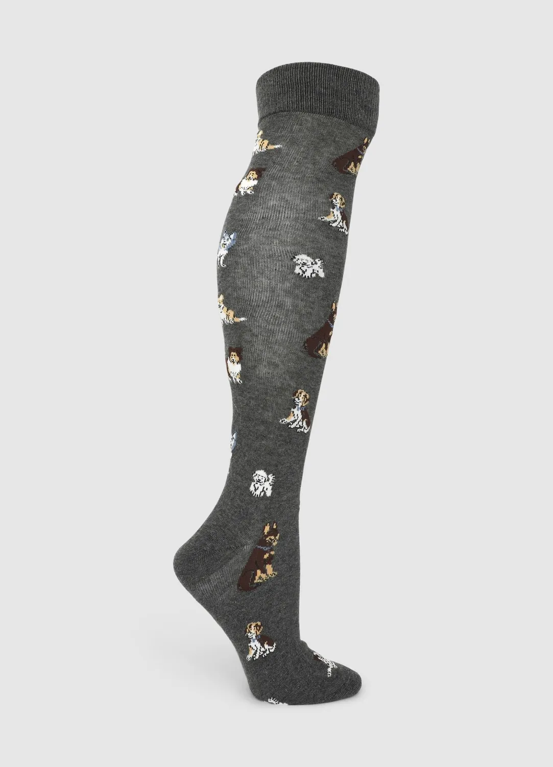 Calliope Chaussettes longues chiens homme