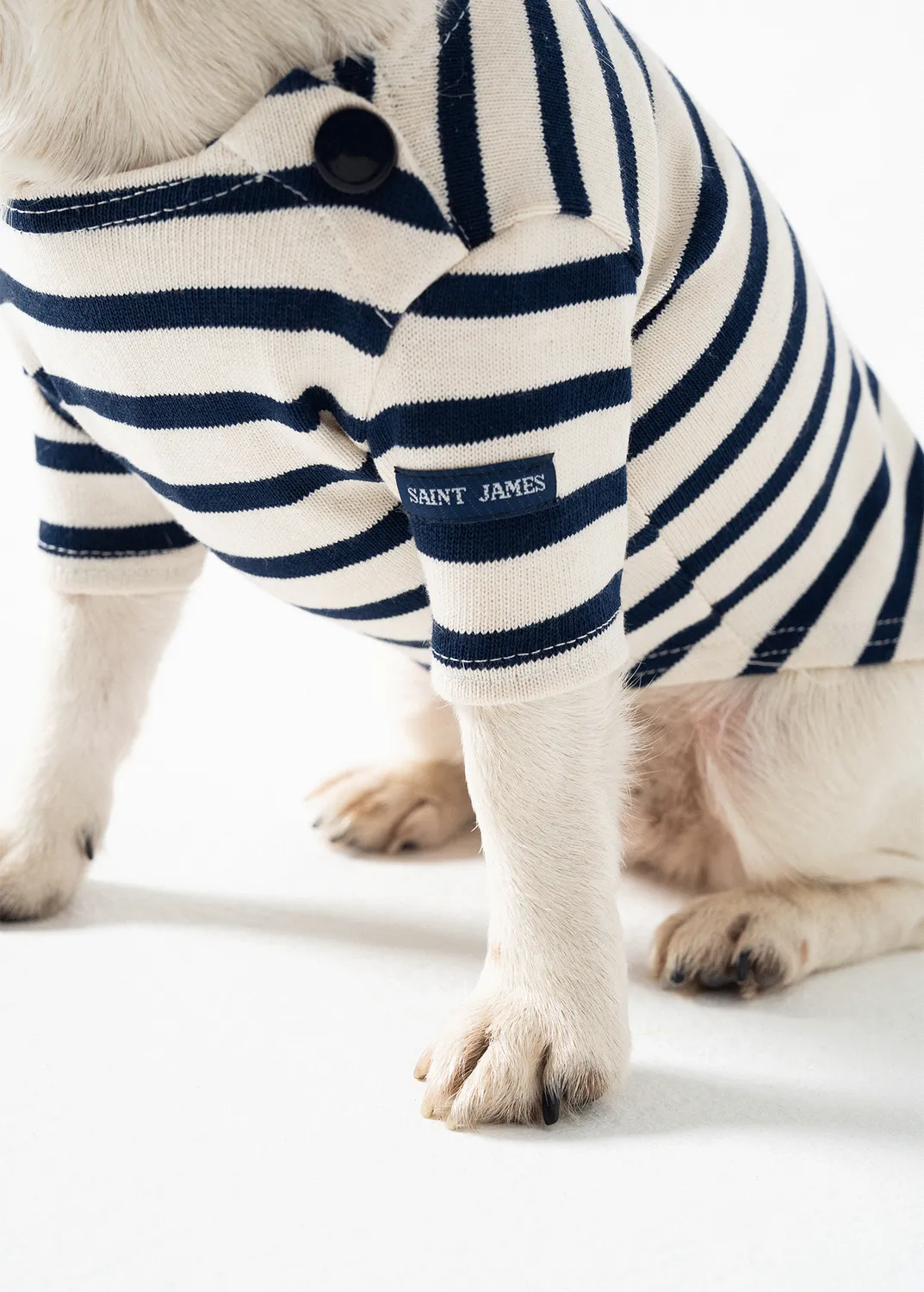 Saint James Toutounière marinière chien écru marine coton