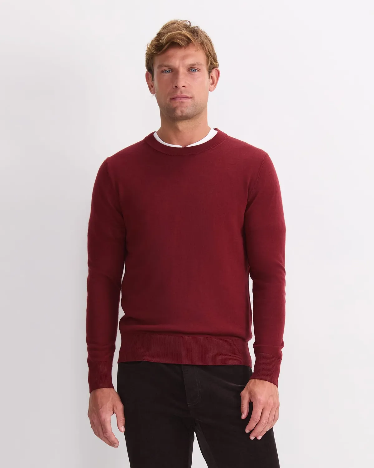 Sportscraft Merino Crew Neck pull laine mérinos homme
