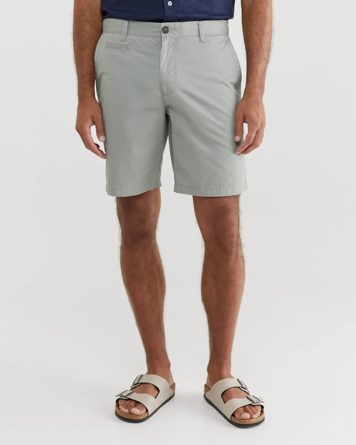 Sportscraft Classic Chino Short bermuda coton homme